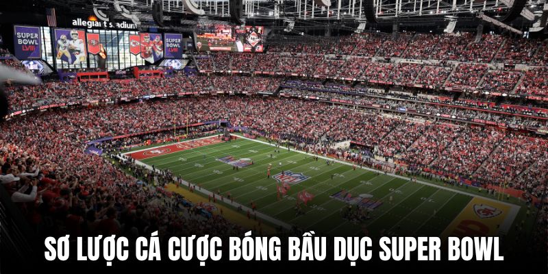 Cá cược bóng bầu dục Super Bowl là nơi tập trung đông người chơi nhất