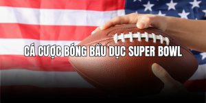 Cá Cược Bóng Bầu Dục Super Bowl: Giải Mã Và Top Thể Loại Kèo