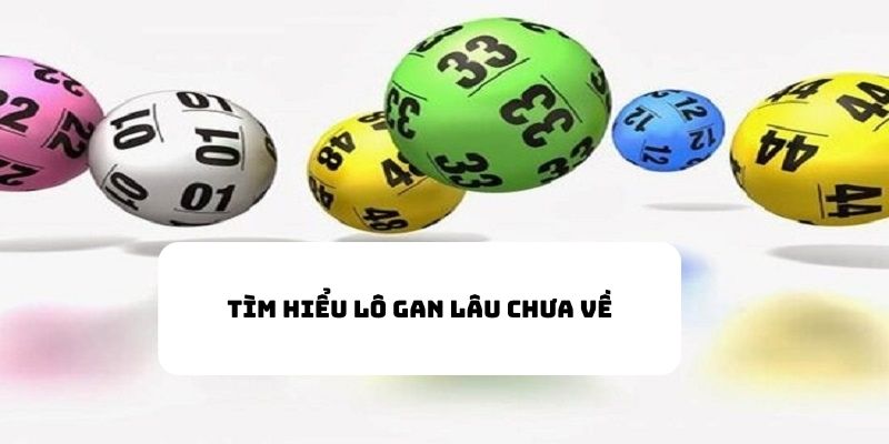 Tìm hiểu ý nghĩa lô gan lâu chưa về